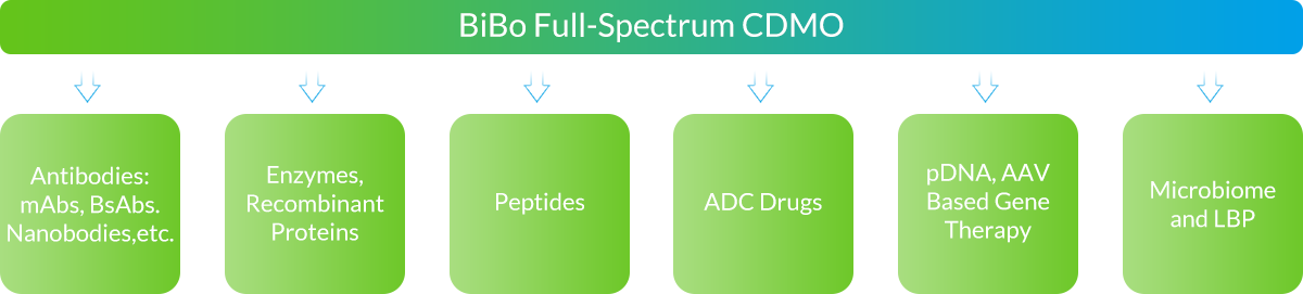 BiBo Full-Spectrum CDMO