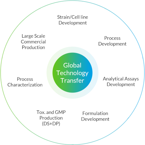 CMC Services