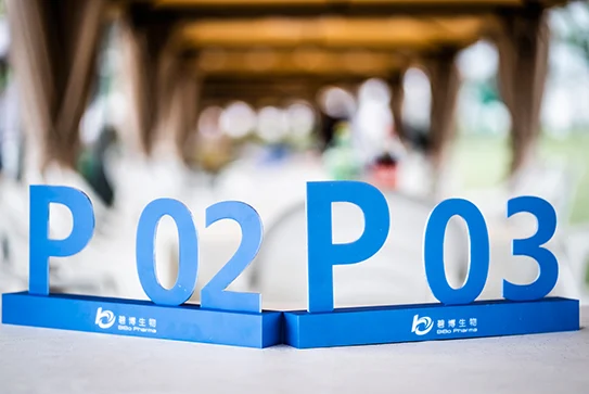 BiBo Milestone | 147 days of speed and passion: the first fully integrated biopharmaceutical GMP production platform in China – BiBo Biotech Lingang Phase I Project (P02) was officially delivered